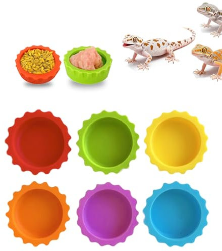 Meow&Woof Lot de 6 bols colorés pour nourriture et eau pour gecko à crête pour tortue, crabe et petit animal de compagnie