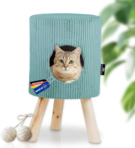 Rohrschneider Katzenhöhle Cord | Made in EU | Katzenbett mit waschbarem Katzenkissen | Katzenhaus Indoor | Sitzgelegenheit bis 60kg | Füße aus robustem Vollholz | ca. Ø 32 x 55 cm | türkis