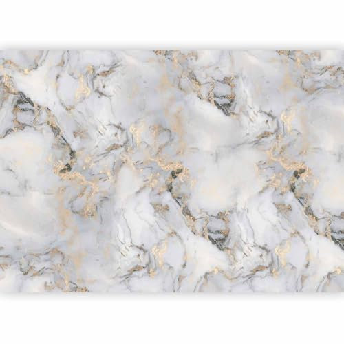 murando PREMIUM Papier peint Abstrait 250x175 cm Décoration Murale XXL Poster Tableaux Muraux Tapisserie Photo Trompe l'oeil Marbre Pierre or gris a-A-10194-a-a