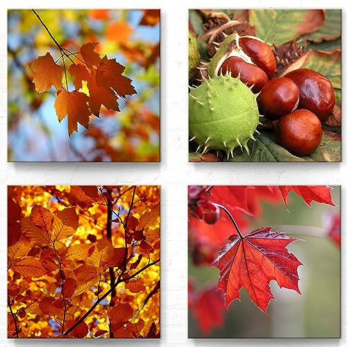 Herbst Wand-Bilder Leinwand, 4er Set A - 50x50cm je Motiv. Schöne herbstliche Deko Bilder für Wohnzimmer, Esszimmer, Flur. Moderner Kunstdruck auf Leinwand. Aufhängefertig