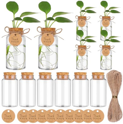 YXSJAS 12 Packs Propagation Stations Desktop Plant Hydroponic Containers with Wooden Hole Lid Clear Propagation Plastic Jars with Thank You Tags for Office Decoration Outdoor Landscape Design