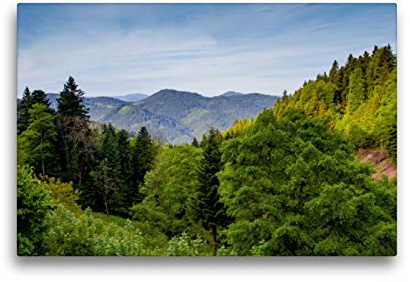 Premium Textil-Leinwand 45 x 30 cm Quer-Format Schwarzwald-Panorama | Wandbild, HD-Bild auf Keilrahmen, Fertigbild auf hochwertigem Vlies, Leinwanddruck von Ursula Di Chito