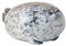 Kiuiom Kuscheltie Plüschtier Robbe,Chubby Blob Seal Pillow,Robbe Kuscheltier Fett,Meerestier Kissen Gefülltes Plüschkissen,Baumwolle Seal Plüsch Spielzug,Siegel Umarmungskissen Stofftier,20CM