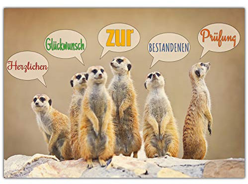 A4 XXL Glückwunschkarte zur bestandenen Prüfung ERDMÄNNCHEN mit Umschlag - edle Klapp-Karte Prüfung bestanden Karte zum Abschluss von BREITENWERK