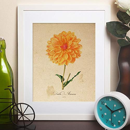 Nacnic Vintage flower poster. Orange Dahlia blade with vintage design. Botany design for interiors. A4 size with frame