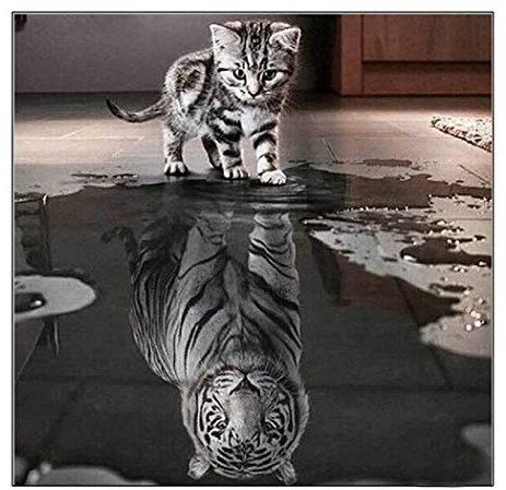 MWOOT DIY 5D Diamante Pintura Kits,5D Diamond Pasted Painting Bordado Punto de Cruz Diamante Craft Hogar Pared Decoración (30x30cm)-Gato y Tigre