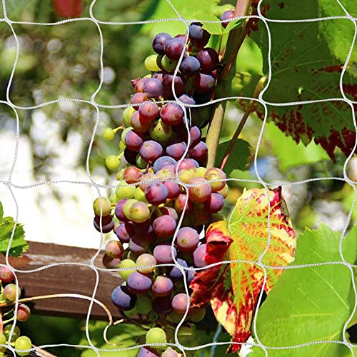 Tcamp Heavy-Duty Polyester Garden Trellis Netting,1 Pack | Garden Netting for Climbing Plants , 5Ft x 30Ft, 3.5 Opening Mesh, Flexible String Net for Bean Pea