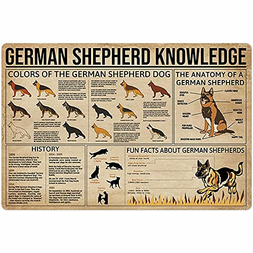 30 x 20 cm Hundewissen Metall Blechschild Schäferhund Anatomie Diagramm Poster Retro Tierhandlung Bauernhof Schule Club Zuhause Wanddekoration Plaketten