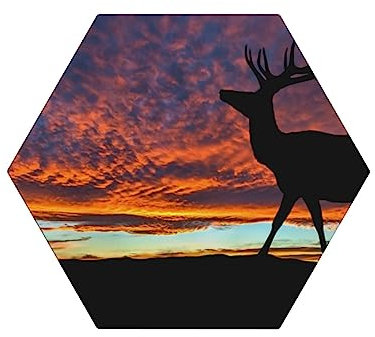 Red Deer Bull Elch Sunset Printed Ceramic Coasters Set of 6 Absorbent Ceramic Coasters Drink Coasters with Cork Base Tabletop Protection Mat for Mugs Cups Office Kitchen
