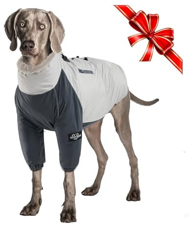 Winter Hund Jacken kaltes Wetter Hundemäntel für mittlere große Hund wasserdicht Winddicht Haustier Kleidung warm 2 Bein Hundesportweste Skianzug, mit Geschirr Schnalle Streifen & Tasche, XXL