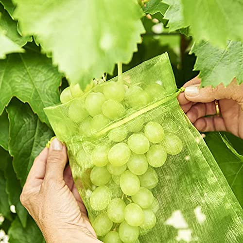 100 Stück Schutzbeutel für Trauben,Trauben Schutzbeutel Organzabeutel mit Zugband, Größe: 30x20cm,Zum Schutz vor Wespenfrass, Vögeln, Kirschessigfliegen und Anderen Insekten, (Farbe: Grün)