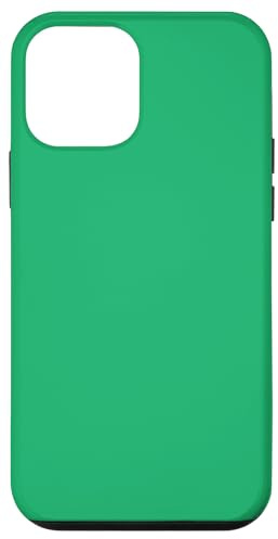 iPhone 12 mini Green Case