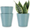 ORTEN Maceta de plástico con platillo y agujeros de drenaje para todas las plantas de la casa, hierbas, cactus, orquídeas, suculentas, juego de 3 (Ø 13 cm, verde)