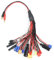 Pardarsey RC Akku-Ladeadapter mit Multi-Plug Squid Charger Adapter auf 4.0mm Banana Bullet Connector für TRX, Tamiya, EC3, JST, Futaba, XT60, T-Dean (20 in 1)