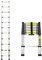Lospitch Scala telescopica pieghevole in alluminio, 3,2 m, con meccanismo di bloccaggio a molla, portata 150 kg, per lavori di casa, tetto, giardino