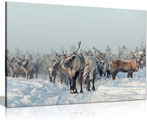 Panther Print Fine Art Prints Reindeers in Winter Snow Artistic Framed Canvas Print, Pictures for Home Walls, Bedroom, Living Room & Bathroom Decor 61x41cm (24x16in)