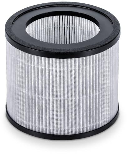 Beurer LR 405 Ersatz-Filter Weiß