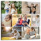 LZIMU 7 Bild Collage Foto Leinwand Bild Personalisierte Multi Foto Kunstdrucke Foto Geschenk Wandbilder Selbst Gestalten Geschenk Wandbilder Für Freunde Und Familie(10, Gerahmt)