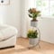 [en.casa] Stand Portapiante con Custodie per Vaso Piedistallo a Forma di C per 2 Piante Supporto Espositore Piante Fiori Portavasi Cilindrici in Metallo 63 x 29 x 21 cm Grigio Scuro