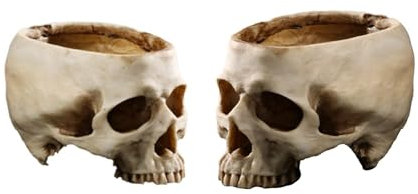 Qivange Skull Planter Resin Skull Head Plant Flower Pot Halloween Decorations Bowl for Home Office Desk Festival Decor, Pack of 2
