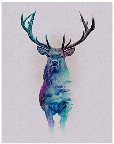 Komar Wandbild | Animals Forest Deer | Poster, Bild, Wohnzimmer, Schlafzimmer, Dekoration, Kunstdruck | ohne Rahmen | P084C-40x50 | Größe: 40 x 50 cm (Breite x Höhe), Bunt