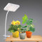 JINHONGTO Pflanzenlampe, Clip On Pflanzenlampe LED Vollspektrum, Biegsamer Schwanenhals und Daisy Chain Funktion, Weiß Grow Lampe, Pflanzenlicht LED Vollspektrum, Pflanzenlampe für Zimmerpflanzen