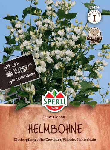 Sperli 85494, Helmbohne Silver Moon, Kletterpflanze für Gemäuer & Wände, Sichtschutz, trockenheitstolerant, gute Schnittblume