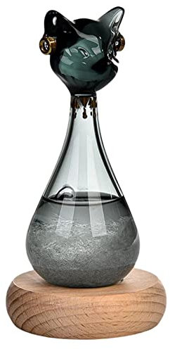 Storm Glass Verre Tempête Stations météo Storm Glass Prévision météo en tempête Goutte d'eau créative Baromètre prévision météo, Cadeau d'anniversaire Saint Valentin décor aison