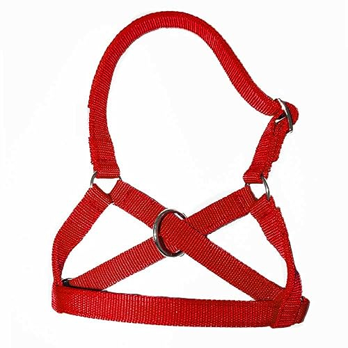 Brama West Alpaka Halfter in Allen Alpaka - Lama Größen, verstellbar, rot, Gr. 50