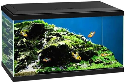 Love Aquatics 60 LED Tropical Glass Black Aquarium - Includes Filter, Lights & Heater 58L Fish Tank With FREE Syphon Kit and Thermometer