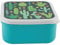 Sass & Belle Square Colourful Cactus Lunch Box