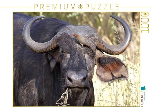 CALVENDO Puzzle Wasserbüffel, Kenia | 1000 Teile Lege-Größe 64 x 48 cm Foto-Puzzle für glückliche Stunden