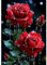 MEIYUDA Diamond Painting Erwachsene Diamant Bilder Rote Rose, 5D DIY Diamant Painting Bilder Diamond Painting Set, Diamond Painting Bastelset Erwachsene Kinder Malerei für Home Wand Décor 30x40cm