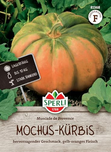 Sperli Mochus-Kürbissamen Muscat de Provence 81368 - Das perfekte Saatgut für einen Kürbis mit hervorragendem Geschmack mit gelb-orangenem Fleisch. -Kürbis Samen