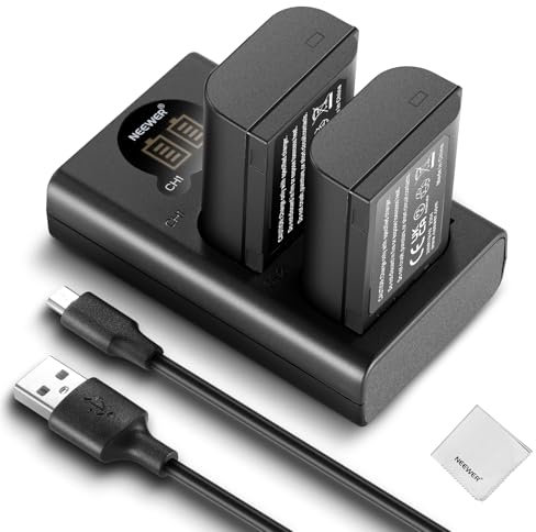 NEEWER DMW-BLK22 Ensemble Batterie de Rechange et Chargeur, 2 Batteries 2400 mAh, Chargeur USB à 2 canaux, Chiffon de Nettoyage, Compatible avec Panasonic Lumix DC-S5 DC-S5II DC-S5IIX GH5 II GH6 S5II