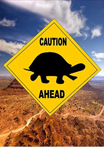 BCTS Panneau de signalisation routière de style australien avec inscription « Caution tortue » en métal humoristique pour traverser le trafic fantaisie carré 30,5 x 30,5 cm
