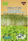 Germisem Orgánica Sprouts Mix Semillas 20 g (ECBIO1901)