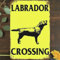 Metall-Blechschild im Vintage-Stil, 20,3 x 30,5 cm, Labrador-Wandkunst, Dekoration, Be Ware Of Dog On Premises, Poster für Zuhause, Wohnzimmer, Schlafzimmer, Garten, Garage, Café, Bar, Pub