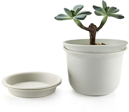 MissFox Maceteros Decorativos Interior Juego de 2, Macetas para Flores con Bandejas 15 cm, Macetas Plástico con Agujeros de Drenaje para Plantas de Interior/Exterior