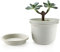 MissFox Vasi Plastica per Piante Set di 2, 15cm Vaso da Fiori con Sottovaso, Vasi per Piante da Interni e da Esterni Moderni con Fori di Drenaggio