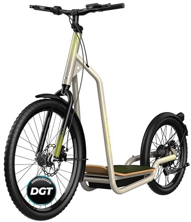 Cecotec Bicinete Urban Homologado. 1000 W, Autonomía hasta 50 km, Ruedas de 20 y 26'', Doble Sistema de Frenado, Batería de 48V y 12.5 Ah, Base XL de Madera, Normativa Española