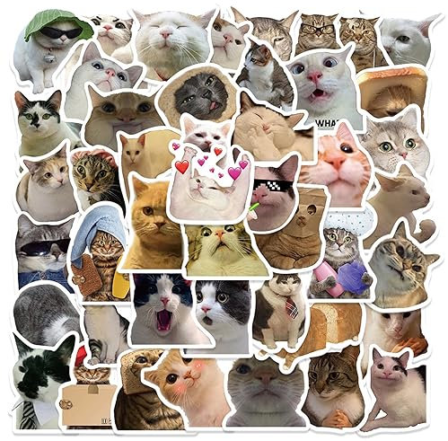 50 Stück Meme Sticker,Katzen Sticker,Katzensticker,Funny Meme Sticker,Cute Katzen Sticker,Graffiti Katzensticker,Wasserdicht Vinyl Aufkleber,für Scrapbook,Skateboard,Auto,Gepäck,Laptop
