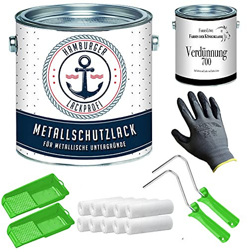 Barniz protector de metal mate gris RAL 9007 gris metalizado, pintura de metal con juego de pintura (X300) y dilución (1 L) // Barniz profesional para Hamburgo (20 L)