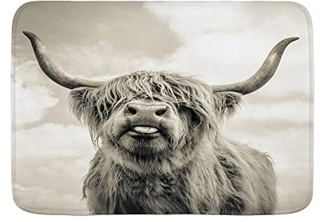 711 Fußmatte Einzigartige Fussabtreter Highland Cow Tonisiert Schwarz Und Weiß Simple Wild Türvorleger Für Deko Innenbereich Flur 40X60Cm