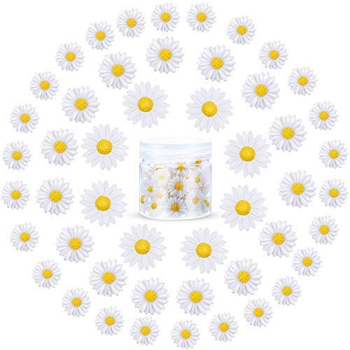 50 Stücke Mini Harz Daisy Gänse Blümchen Blume Mini Dekorierte Gänseblümchen Gänseblümchen Blume Harz Charms mit Aufbewahrungsbox für DIY Handwerk Party Haus Dekoration, 3 Größen
