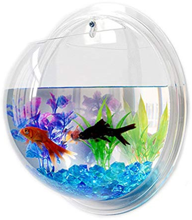 Hängende Fischschale zur Wandmontage: Acryl-Pflanzgefäß-Vase – Aquarium-Wanddekoration, Pflanze, Aquarium-Blase für Wasserpflanzen (17,8 cm)