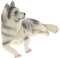 VICASKY Husky-Modell Spielen Mini-hundestatue Hundekuchendeckel Welpenfigurenspielzeug Hunde-sammelfiguren Gartenhundestatue Hundefigur Gefälschtes Tier Plastik Kind Tibetischer Mastiff