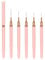 5Pcs Nails Art Brushes Super Fine Thin Liner Nails Brush Set For Nails Gel Polish Painting Designs Gifts For Women Girls
