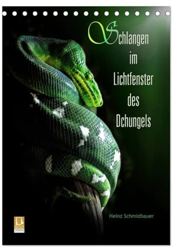 Schlangen im Lichtfenster des Dschungels (Tischkalender 2026 DIN A5 hoch), CALVENDO Monatskalender: Schlangen - nur wenige mögen sie, doch ... von Heinz Schmidbauer. (CALVENDO Tiere)