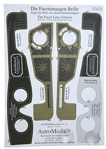 Frühes Forschen Facettenauge-Brille